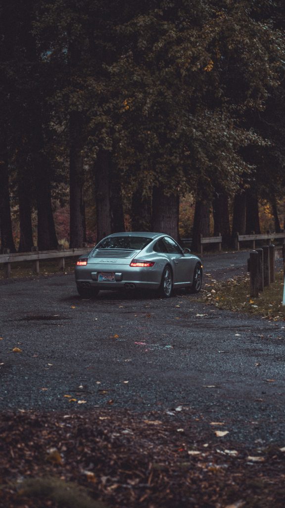 Gray car drive in the forest