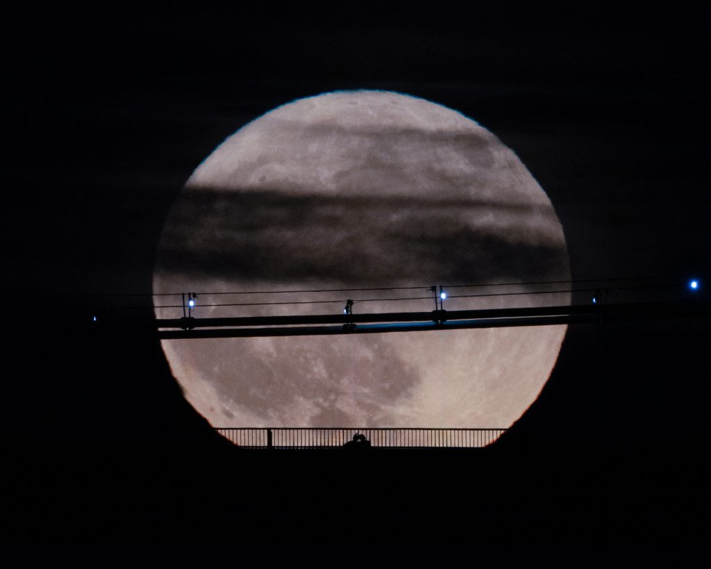 Strawberry Moon – Couple Standing On Lions Gate Bridge Vancouver