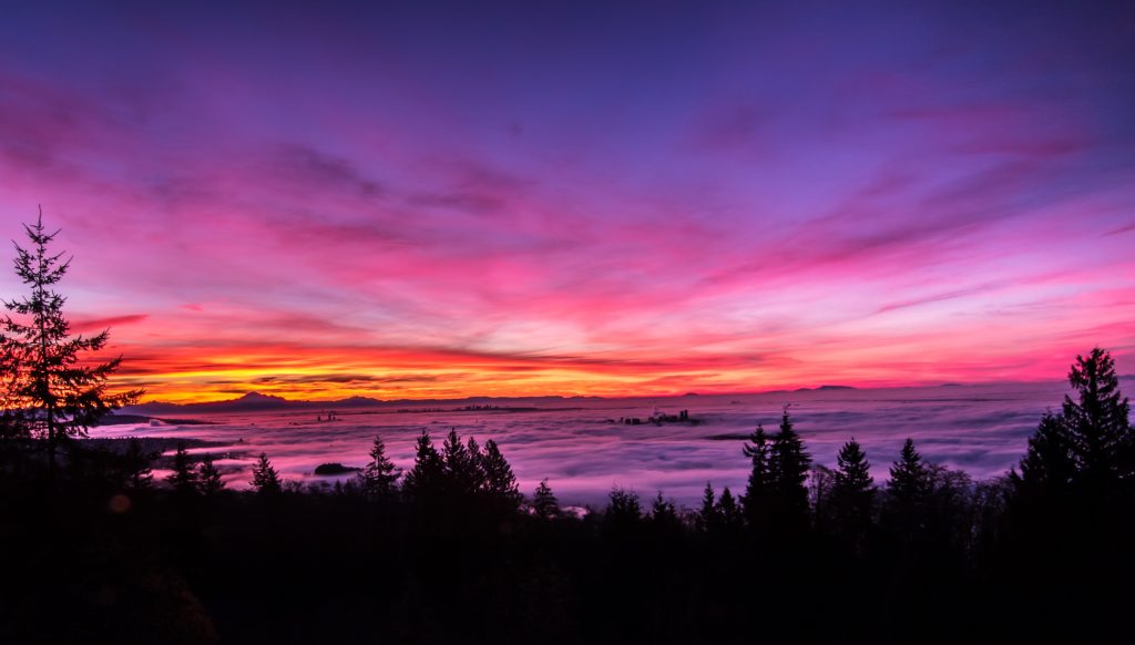 Foggy Vancouver Sunrise in Winter