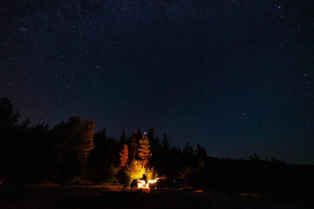 Camp light in forest under starry sky