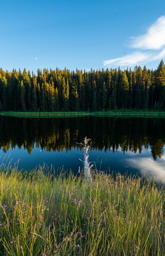 Grass field near a lake under blue sky