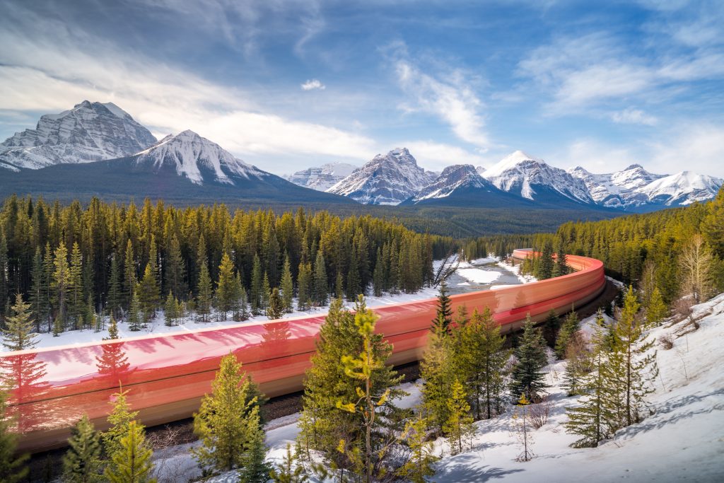 Passing train in woods