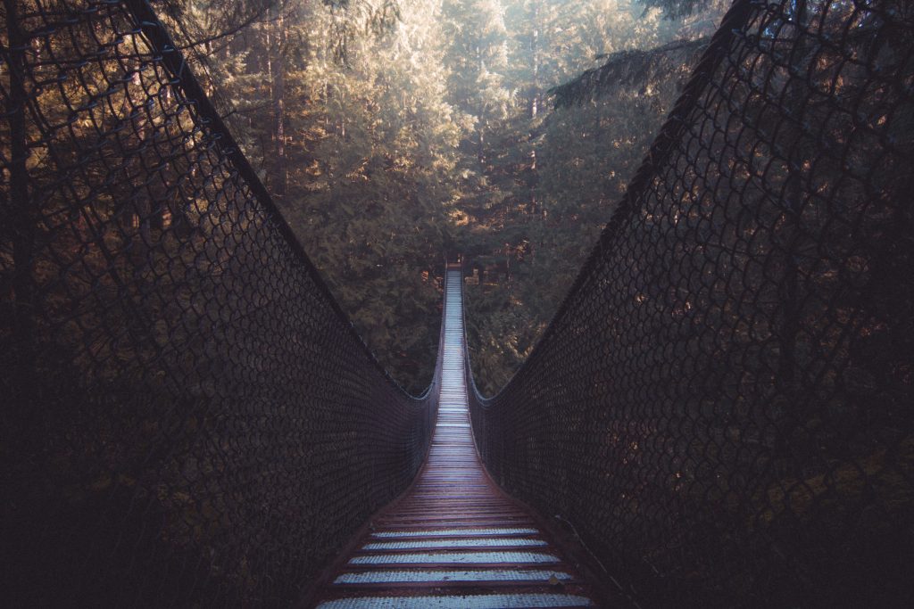 Suspension bridge in coniferous forest in sunny weather